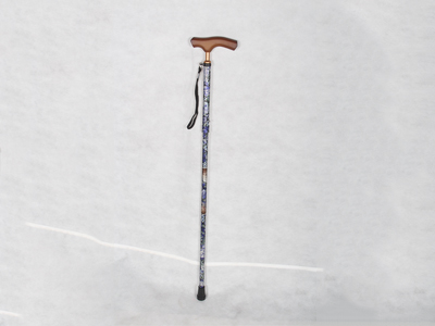 手杖4